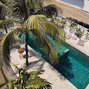  Hotel kapsul Mycapsule Bali Indonesia